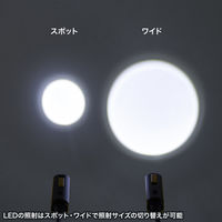 LEDネックライト 充電式 USB 首掛け IP44 調光 フレキシブルアーム サンワサプライ LED-NECK1 1個