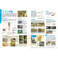 シャディ 学研の図鑑LIVE新版 昆虫・危険生物・恐竜3冊セット 25-0262-127 1箱（直送品）