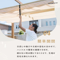 武田コーポレーション シェード付きパーゴラ ナチュラル NAEX-01 1箱(1個入)（直送品）