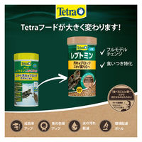 テトラ レプトミン カメ用フード 汚れブロック 小粒 70g 3個 スペクトラムブランズジャパン