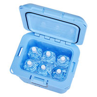 コールマン コールマンプロ/25QT(デイドリーム) 2218854 1個（直送品）