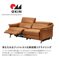 ホームテイスト フリオ 2人掛 レーザーファブリック 電動リクライニングソファ 幅1910mm ダークブラウン SH-24-ELF-2 1台（直送品）