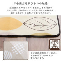 ホームテイスト Witam2(ヴィタム2) 洗えるデザイン玄関マット 450×650mm モロッカンアイボリー FRG-G2-S 1枚（直送品）