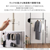 ホームテイスト つっぱりハンガーラック １段 幅200cm ホワイト SH-29-TTHS-1 1個（直送品）