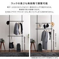 ホームテイスト つっぱりハンガーラック 2段 幅200cm ブラック SH-29-TTHM-2 1個（直送品）