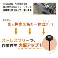 【園芸用品】 DAIM 楽釘アンカー 50本 15cm 1袋（50本）