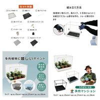 【園芸用品】 DAIM 多肉マンション ブラック 1個