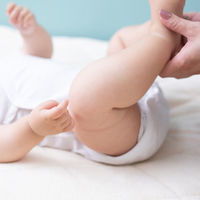 三和 使い捨てマルチシート　50枚入 ECOー3040  1セット3個（150枚：50枚入×3）