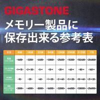 GIGASTONE microSDHCカード 32GB クラス10 SD変換アダプター付き GJM10/32G 1枚