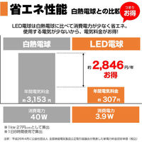 朝日電器 LED電球 ボール形G95 LDG4L-G-G2102 1個（わけあり品）