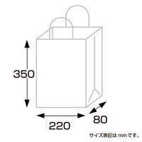 ササガワ 手提げ袋 マット黒 SーT 50-6421 1枚（わけあり品）