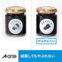 エーワン ラベルシール 超耐水 インクジェット 光沢紙 白 A4 27面 1袋(10シート入) 64227（わけあり品）