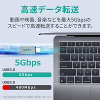 変換アダプタ USB-A[メス]-Type-C[オス] シルバー CB-A22 1セット（2個入） AUKEY（わけあり品）