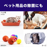 ファミリーガード 除菌スプレー エアゾール マウンテンエアの香り 本体 300ml 1本 ジョンソン（わけあり品）