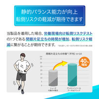 メディエイド アシストインソール アーチ＆グリップ L 492003 1足 日本シグマックス