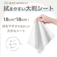 ベビーAtsudeおしりふきシート80枚 大判 新生児から ノンアルコール 無香料 1セット（80枚×12個）