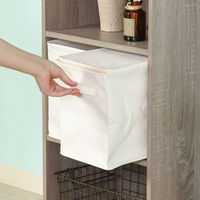 不二貿易 魅せる収納ボックス 縦ハーフ 蓋付 52863 1個