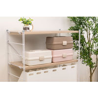 JEJアステージ　シェルフフルール350　ストロベリー　　1個