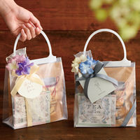 HEADS(ヘッズ)無地ハンドル付クリアギフトバッグー2　1袋（20枚）