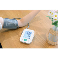 上腕式血圧計 BM-215WT ドリテック