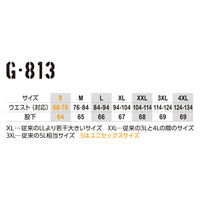 コーコス信岡 ドライパワーサポート ロングタイツ L ブラック G-813 1着（直送品）