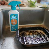 eezym イージム 酵素キッチンクリーナー 油汚れ用 オレンジ  500mL 1個 イーオクト