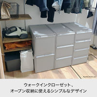 吉川国工業所 クロゼット・システム 引出し(L)2個組 P CS-D3*2P_P 1セット