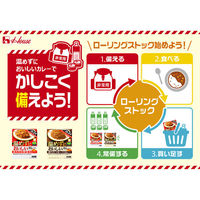 セット品 ハウス食品 温めずにおいしいカレー＜キーマ・野菜＞ 2種×各4個 1セット レトルト レンジ対応 備蓄