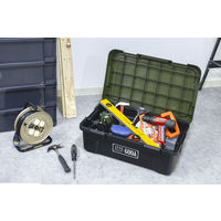 JEJアステージ　アクティブストッカー600AX（耐荷重80kg） ブラックグリーン　　1個