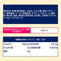 ロッテ マンゴスチンガム 9枚入 1セット（1個×15） 板ガム 個包装