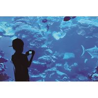 TO-PLAN キッズカメラ ネコ TKSWI-003B 1台