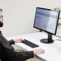 ブルーライトカットフィルター 24インチ PCモニター対応 アスペクト比16:9 2469-ANTI-BLUE-LIGHT 1個