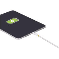 Startech.com USB-Cケーブル 3m USB 2.0 240W PD 3.1対応 ホワイト USB2EPR3MW 1本