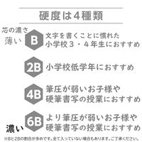 【アウトレット】【Goエシカル】訳あり トンボ鉛筆 かきかた鉛筆ハローネイチャー わくわくアソート120本パック 1セット（1本×120）