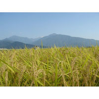 新潟県魚沼産 コシヒカリ 2kg 【精白米】 令和7年産 米 お米 こしひかり