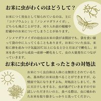 福島県産 天のつぶ 1.8kg 1袋 精白米 令和6年産 スマート米 オプティム