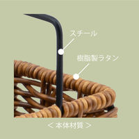 ナカバヤシ ラタンスタイル ファイルスタンド RSS-FS01BR 1個