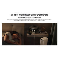 ECOFLOW ポータブル電源 RIVER3 MAX Plus (870) EFRIVER3MaxPlus-JP-CBOX 1台