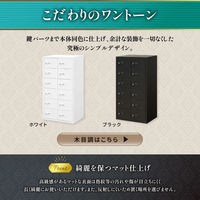 ネットフォース NSAFEII 2列6段12人用 ダイヤル錠 ホワイト NSAFE-26-2-AW-WH 1台（直送品）