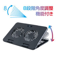 ナカバヤシ ノートPCクーラー　2WAY　2FAN　スタンダード　11～15.6インチ対応 NSFー09BK 1個