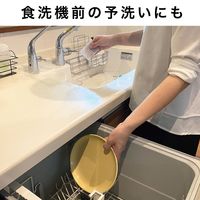 びっくりフレッシュ びっくり抗菌糸で作ったキッチンクリーナー 水だけでも汚れが落ちる グレー 日本製 1個（20枚入）サンコー