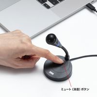 サンワサプライ  USB Type-Cマイク MM-MCTC01BK（直送品）