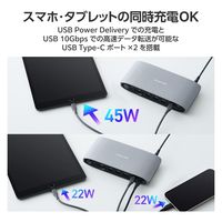 ドッキングステーション タイプC ハブ 13in1 Displaylink対応 USBハブ DST-W14 エレコム 1個（直送品）