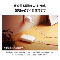 モバイルバッテリー 20000mAh 大容量 最大15W しろちゃん(ホワイト×ブラック) EC-C39WF エレコム 1個（直送品）