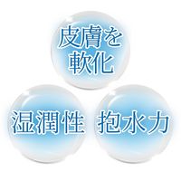 カネソン ラノフィール モイストクリーム 10g 1個