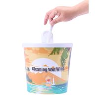 ペット用 おそうじタオル ポイ太くんシリーズ 犬・猫用 無香料 本体 130枚入 1個 フェニックス・アインツェル