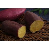 アイリスオーヤマ 低温調理器 LTC-04-H ウォームグレー 1台（直送品）