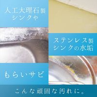 カンペハピオ 復活洗浄剤 ステンレスシンククリーナー 100ML 17660142100 1個（直送品）
