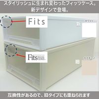 【小物収納】天馬　フィッツケース 36ー25 　ホワイト/クリア　幅25.7×奥行36.9×高さ14.6cm　1セット（1個×2）