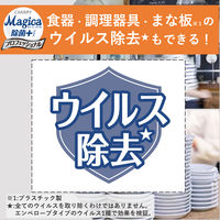 【専用空ボトル付き】CHARMY Magica(チャーミーマジカ) 除菌+ プロフェッショナル 無香料 業務用詰替3.8L 1個 食器用洗剤 ライオン